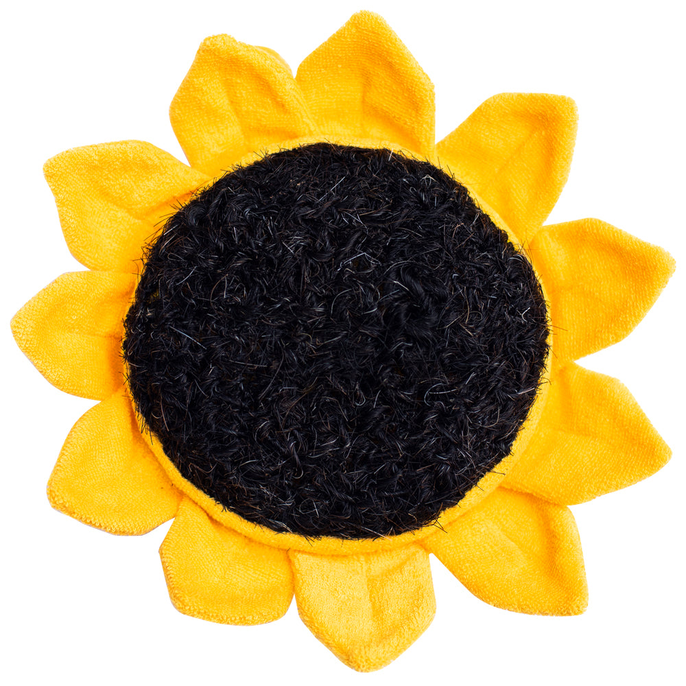 Scrubby Sunflower