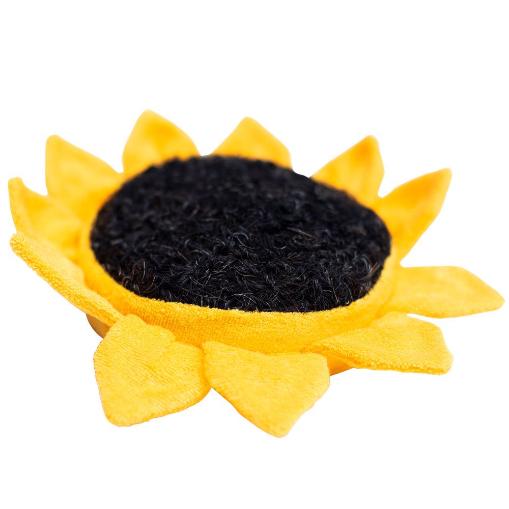Scrubby Sunflower
